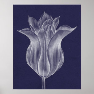 Affiches Tulipe monochrome III
