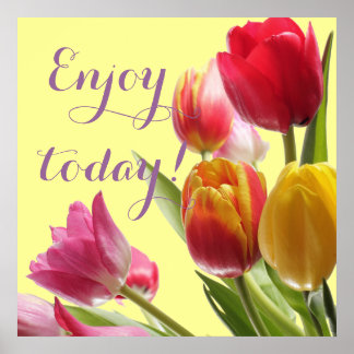 Affiches Tulipes colorées avec devis personnalisable