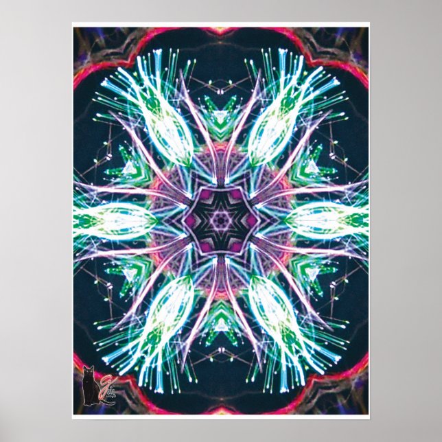 Affiches Tulipes Kaléidoscope (Devant)