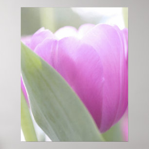 Affiches Tulipes, Keukenhoff Gardens, Pays-Bas. 2