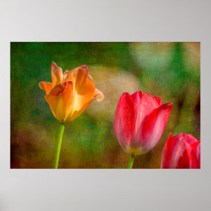 Affiches Tulipes rouges et jaunes sur arrière - plan textur