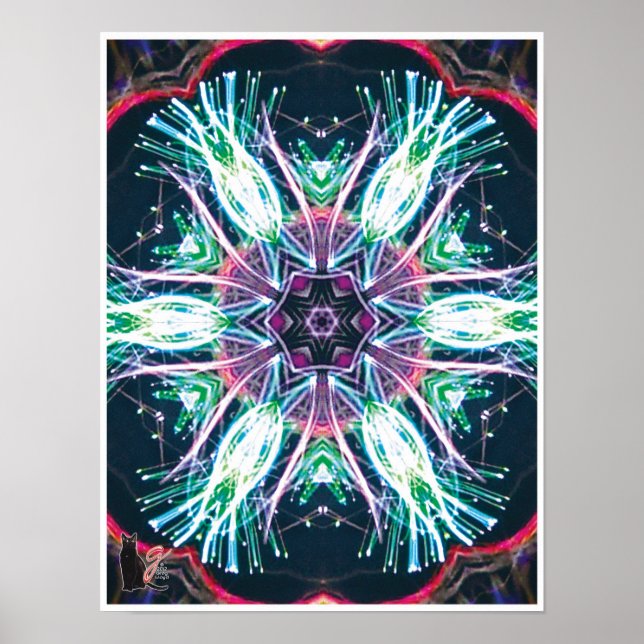 Affiches Tulips Kaleidoscope (Devant)