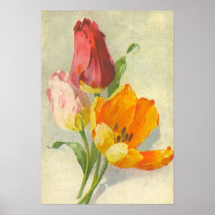 Affiches Tulips par Catherine Klein