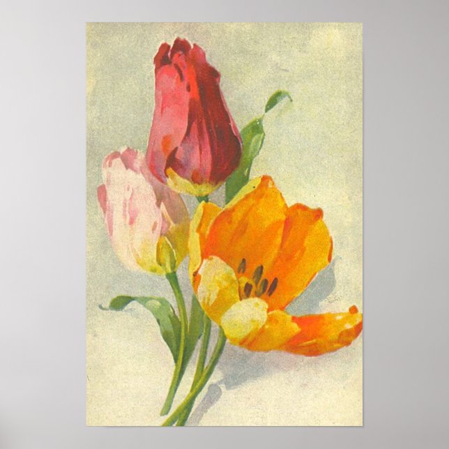 Affiches Tulips par Catherine Klein (Devant)