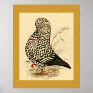 Affiches Tumbler Pigeon LFCL Splash