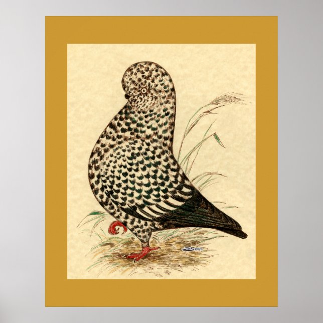Affiches Tumbler Pigeon LFCL Splash (Devant)