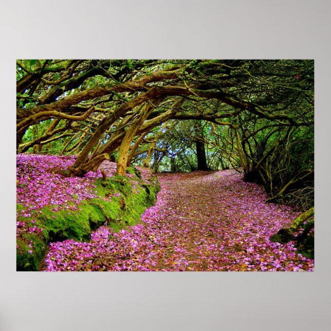 Affiches Tunnel de Kenmare Rhododendron - Le... - Customisé (Devant)