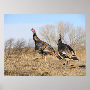 Affiches Turkey Horizon