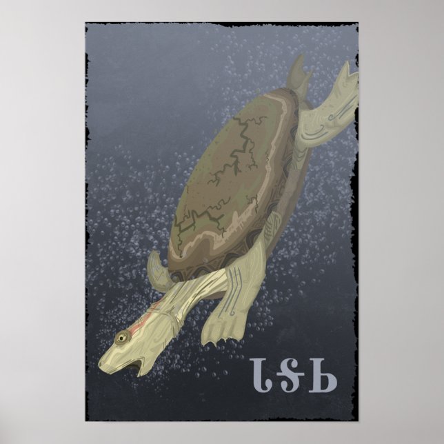 Affiches Turtle Dives Trop Profond (Devant)