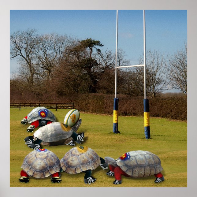 Affiches Turtle Rugby (Devant)