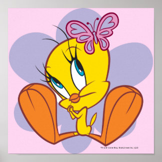 Affiches Tweety et papillon