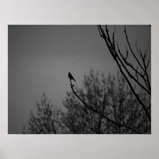 Affiches Twilight Bird (Devant)