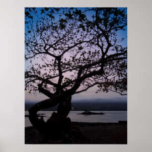 Affiches TWILIGHT sur HILO BAY HAWAII