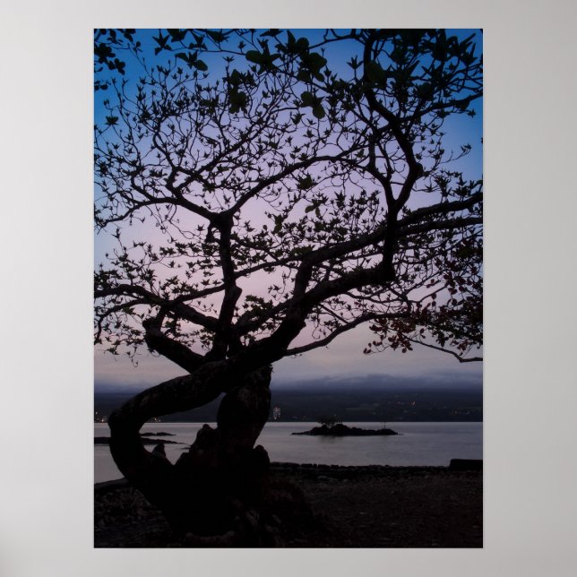 Affiches TWILIGHT sur HILO BAY HAWAII (Devant)