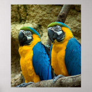 Affiches Twin Beaks