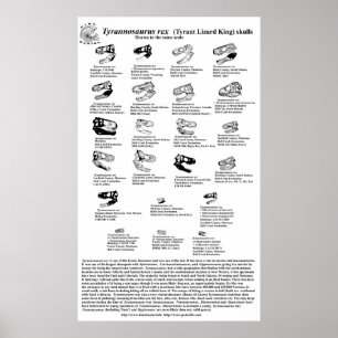 Affiches Tyrannosaurus rex