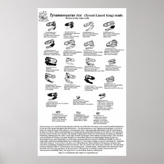 Affiches Tyrannosaurus rex