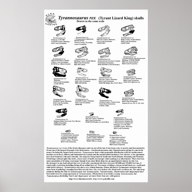 Affiches Tyrannosaurus rex (Devant)