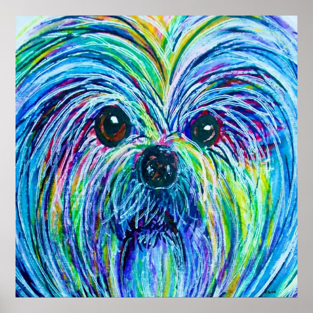 Affiches Tzu Shih - Couleurs intenses (Devant)