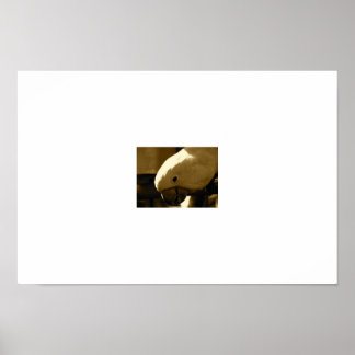 Affiches Umbrella Coakatoo