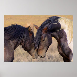 Affiches Un amour des chevaux