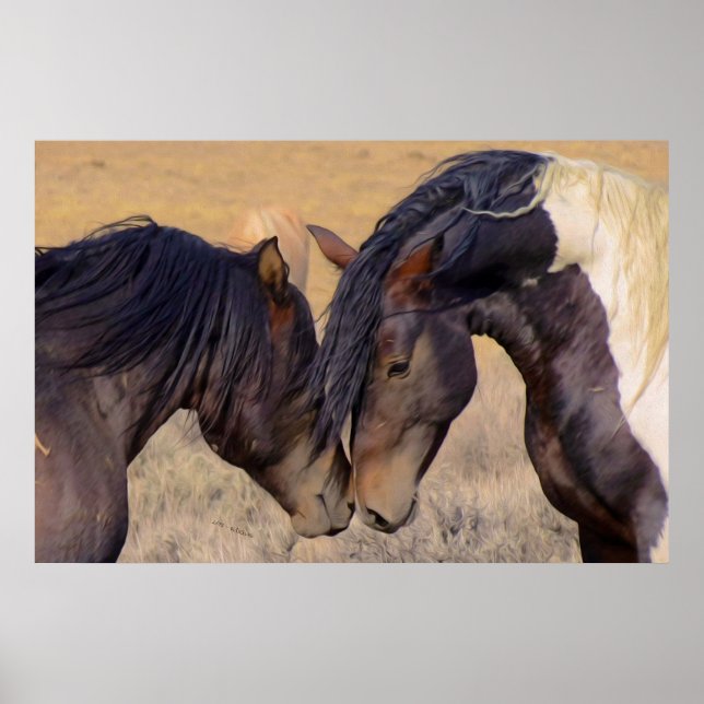 Affiches Un amour des chevaux (Devant)