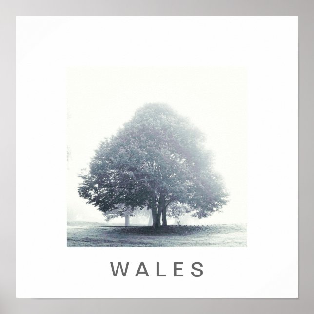 Affiches Un arbre dans le brouillard (Devant)