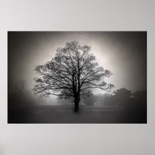 Affiches Un arbre dans le brouillard