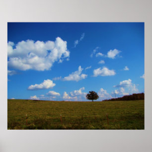 Affiches Un arbre solitaire