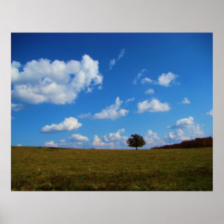 Affiches Un arbre solitaire