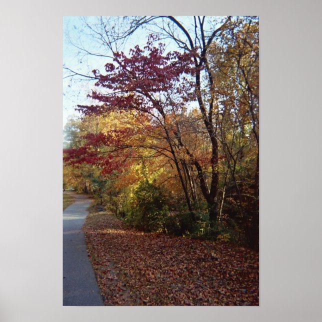 Affiches Un Beau Arbour (Devant)