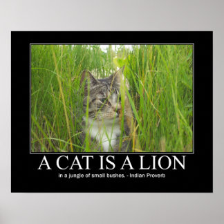 Affiches Un chat est une oeuvre de proverbe Lion indien