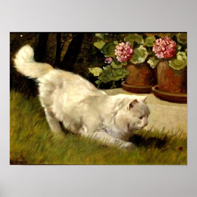 Affiches Un chat perse blanc regarde une coccinelle (Devant)