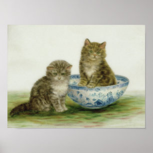 Affiches Un chaton dans un bol bleu de Chine