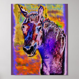 Affiches Un cheval de plusieurs couleurs