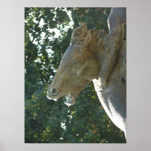 Affiches Un Cheval Fontaine Plaza