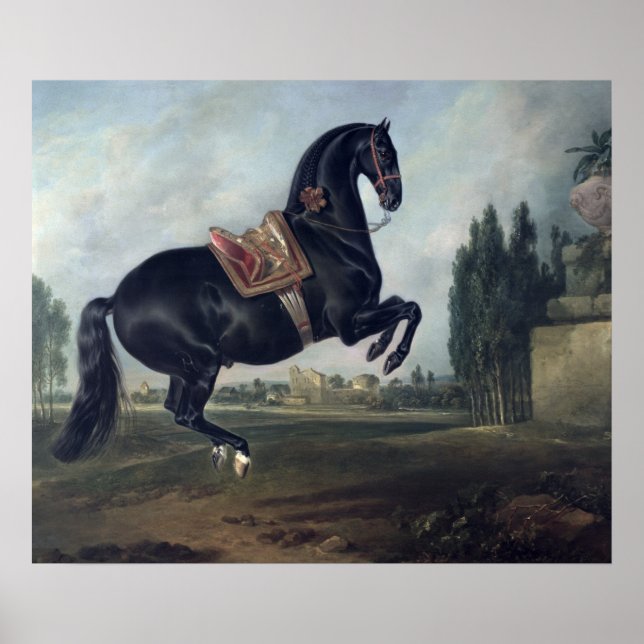 Affiches Un cheval noir exécutant la Courbette (Devant)