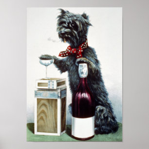 Affiches Un chien gai