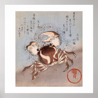 Affiches Un crabe en bord de mer