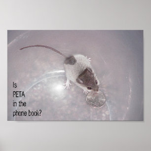 Affiches Un dernier appel