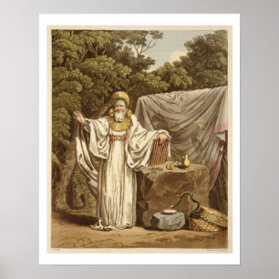 Affiches Un druide de voûte dans son habitude juridique,