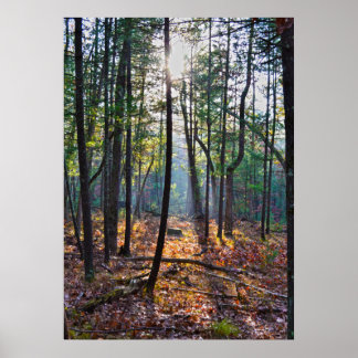 Affiches Un Éclairage Sur Un Trump