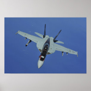 Affiches Un frelon superbe de la marine F/A-18F des USA en