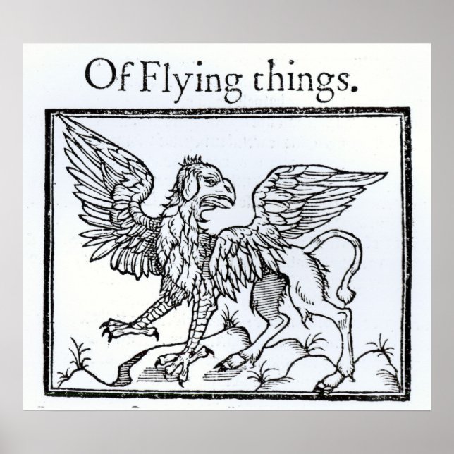 Affiches Un Griffin (Devant)