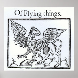 Affiches Un griffon