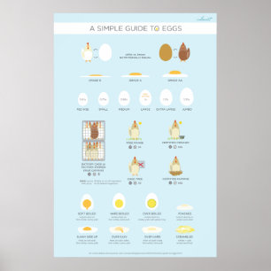 Affiches Un guide simple (visuel) des oeufs