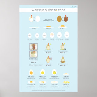 Affiches Un guide simple (visuel) des oeufs