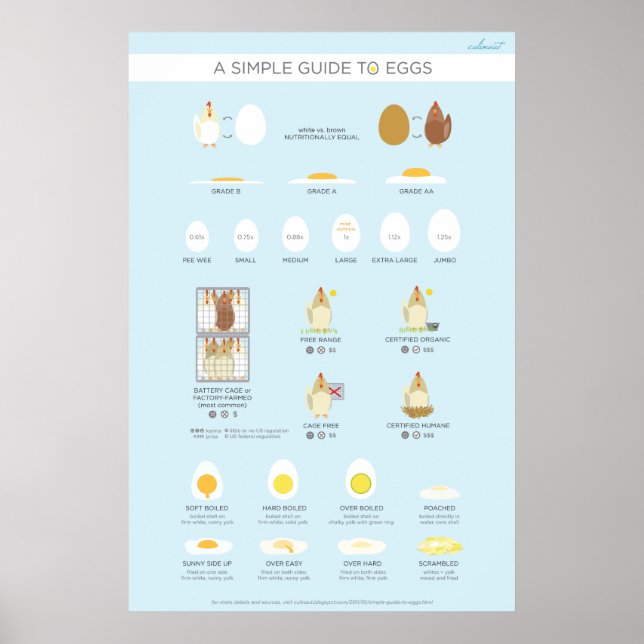 Affiches Un guide simple (visuel) des oeufs (Devant)