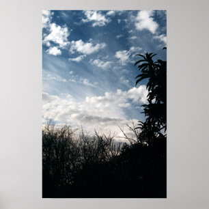 Affiches un jardin nuageux