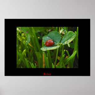 Affiches Un jour chanceux de St Patricks